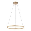 .Leuchten Direkt 15394-60 - LED Dimmable κρεμαστό φωτιστικό οροφής RITUS LED/30W/230V