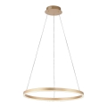 .Leuchten Direkt 15394-60 - LED Dimmable κρεμαστό φωτιστικό οροφής RITUS LED/30W/230V