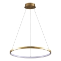  Κρεμαστό φωτιστικό οροφής LED LEA LED/20W/230V 4000K διάμετρος 50 cm χρυσό