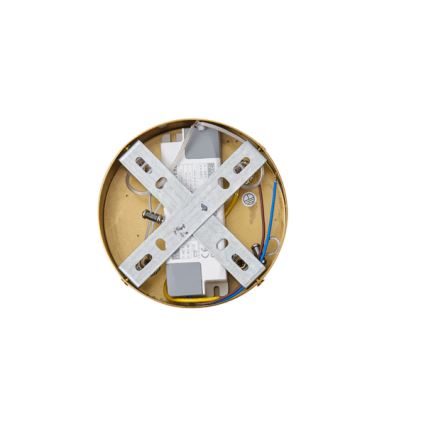  Κρεμαστό φωτιστικό οροφής LED LED/19W/230V 3000K