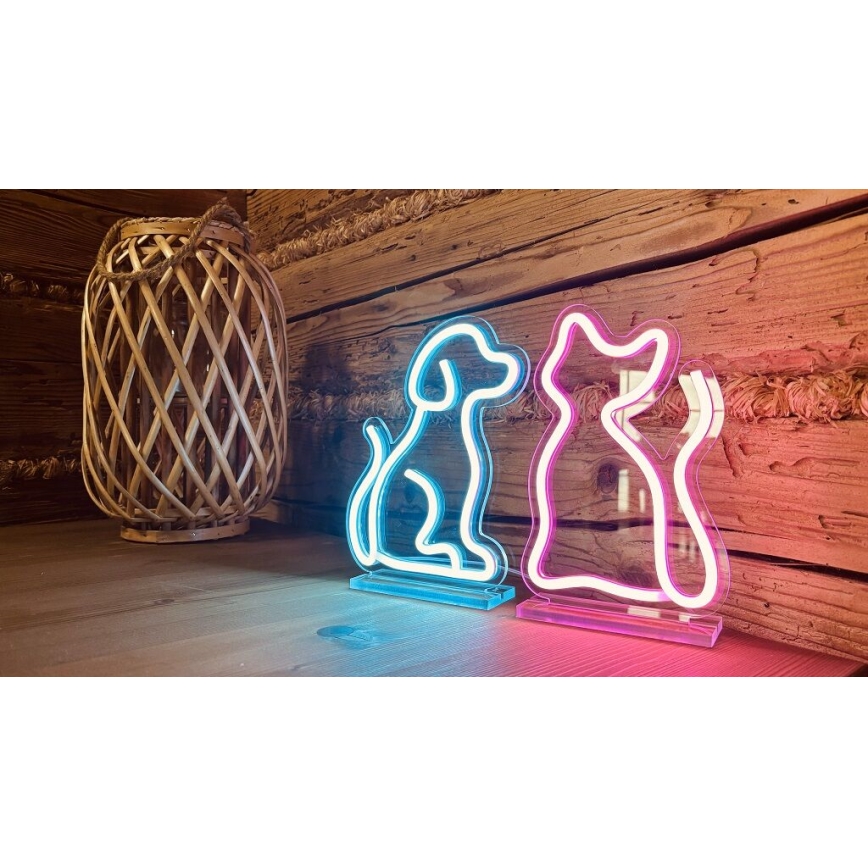 2Kids Toys - LED Neon επιτραπέζιο διακοσμητικό LED/5W/USB γάτα
