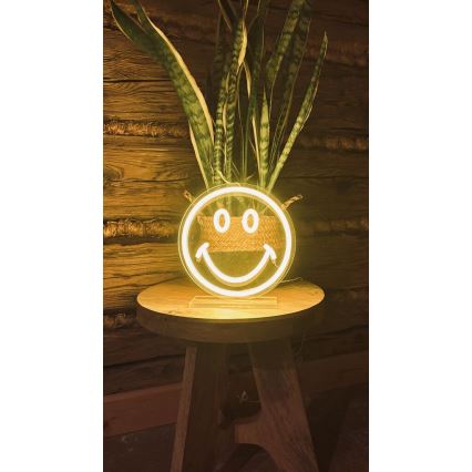 2Kids Toys - LED Neon επιτραπέζιο διακοσμητικό LED/5W/USB smiley