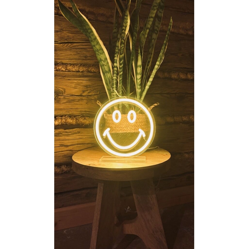 2Kids Toys - LED Neon επιτραπέζιο διακοσμητικό LED/5W/USB smiley