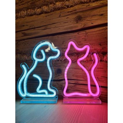 2Kids Toys - LED Neon επιτραπέζιο διακοσμητικό LED/5W/USB γάτα