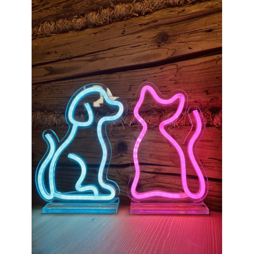 2Kids Toys - LED Neon επιτραπέζιο διακοσμητικό LED/5W/USB γάτα