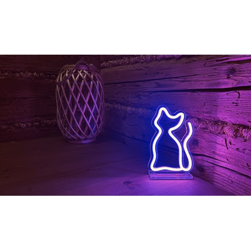 2Kids Toys - LED Neon επιτραπέζιο διακοσμητικό LED/5W/USB γάτα