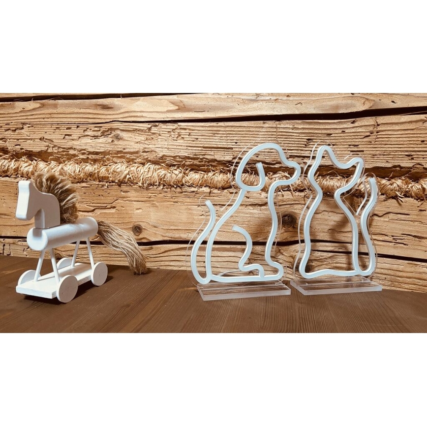 2Kids Toys - LED Neon επιτραπέζιο διακοσμητικό LED/5W/USB γάτα