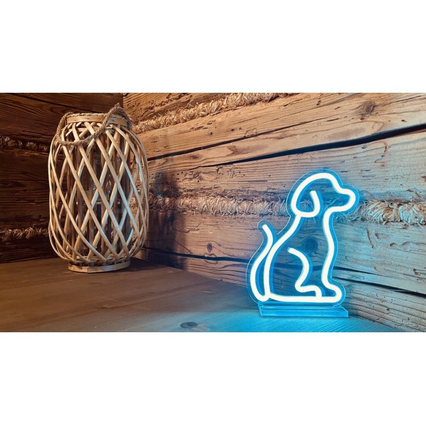 2Kids Toys - Επιτραπέζια διακοσμητική LED neon λάμπα LED/5W/USB σε σχήμα σκύλου