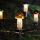 αλυσίδα TOADSTOOL 12xE10 10,7m θερμό λευκό, Κατασκευασμένο στην Τσεχία