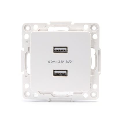 Aigostar - Λευκή πρίζα τροφοδοσίας USB χωρίς πλαίσιο, 2x USB-A