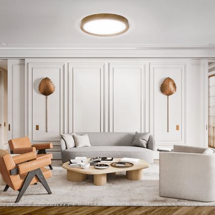 Aigostar - Φωτιστικό οροφής LED LED/24W/230V 6500K διάμετρος 38,3 cm