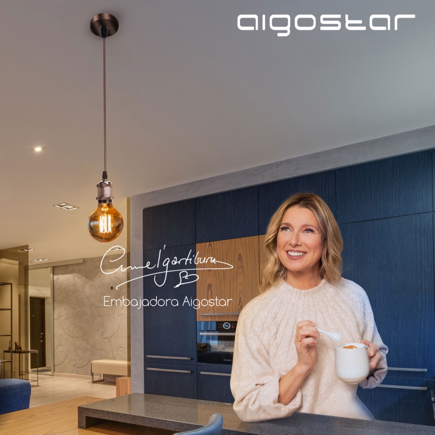 Aigostar - Καλώδιο τροφοδοσίας 1xE27/60W/230V από χαλκό