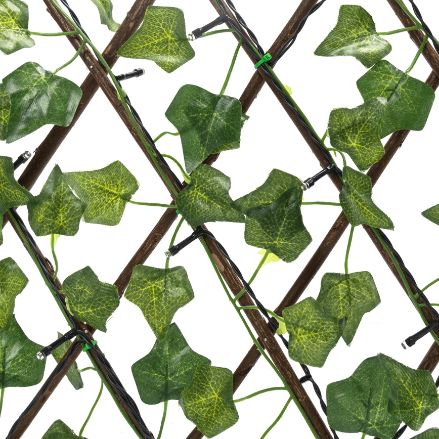 Aigostar - LED Ηλιακή Γιρλάντα 56xLED/2x0,4m IP65 300 mAh ζεστό λευκό ivy