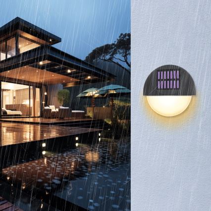 Aigostar - LED Ηλιακό Επιτοίχιο Φωτιστικό LED/1W/1,2V μαύρο 200 mAh 2700K IP44