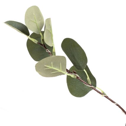 Aigostar - LED Ηλιακό διακοσμητικό 285xLED/3,8μ IP65 1200 mAh ζεστό λευκό ευκάλυπτος