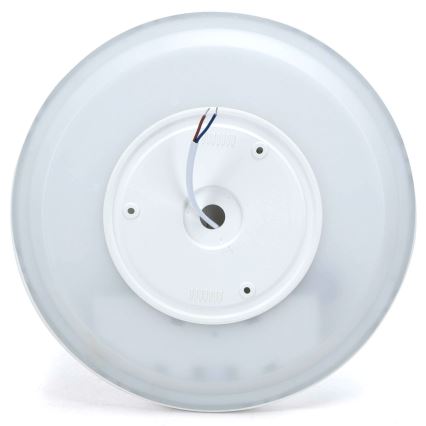 Aigostar - Ρυθμιζόμενο οροφής φωτιστικό LED RGBW MESH LED/24W/230V 3000-6500K λευκό + τηλεχειριστήριο
