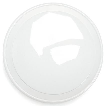 Aigostar - Ρυθμιζόμενο φωτιστικό οροφής μπάνιου LED RGBW MESH Smart LED/24W/230V 3000-6500K IP44 με τηλεχειριστήριο