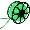 Aigostar - LED Ταινία 50μ LED/300W/230V IP65 πράσινο