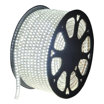 Aigostar - LED Εξωτερική Ταινία 50μ LED/350W/230V 6500K IP65