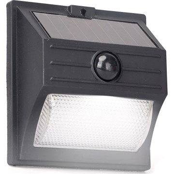 Aigostar - LED Φωτιστικό Ηλιακής Ενέργειας με αισθητήρα LED/3,7V 6500K 500 mAh IP65 μαύρο