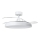 Aigostar - LED Φωτιστικό οροφής dimmable με ανεμιστήρα MESH LED/50W/230V 2700-6500K μαύρο + τηλεχειριστήριο