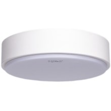 Aigostar - LED Φωτιστικό οροφής LED/20W/230V 6500K δ. 30 cm λευκό
