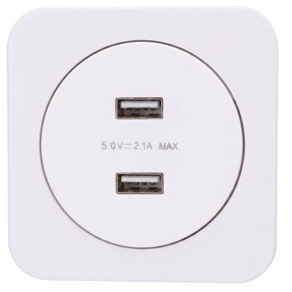 Aigostar - Πρίζα τροφοδοσίας USB με πλαίσιο, 2x USB-A, λευκή
