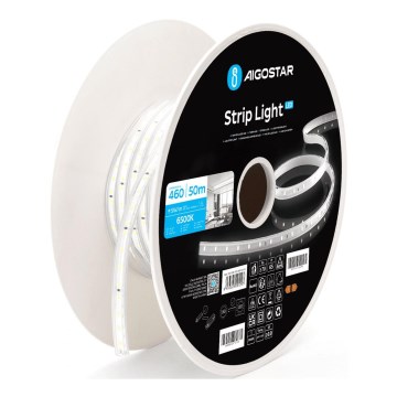Aigostar - Ταινία LED LED/250W/230V 50m 6500K IP65