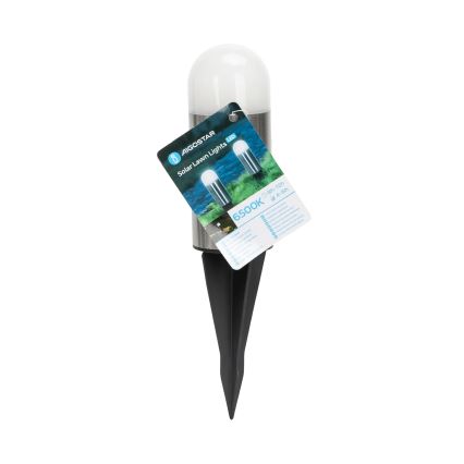 Aigostar - Ηλιακή λάμπα LED LED/0,006W/1,2V 20cm ματ χρώμιο 40 mAh 6500K IP44