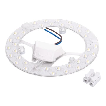 Aigostar - Μαγνητική μονάδα LED/24W/230V 6500K