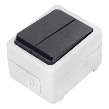 Aigostar - Οικιακός σειριακός διακόπτης 250V/10A IP54