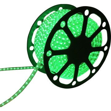 Aigostar - Ταινία LED 50m LED/300W/230V IP65 πράσινο