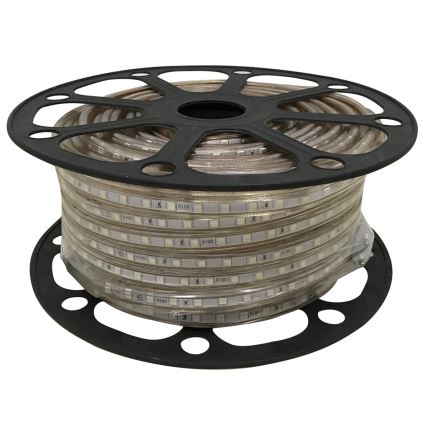 Aigostar - Ταινία LED 50m LED/300W/230V IP65 πράσινο