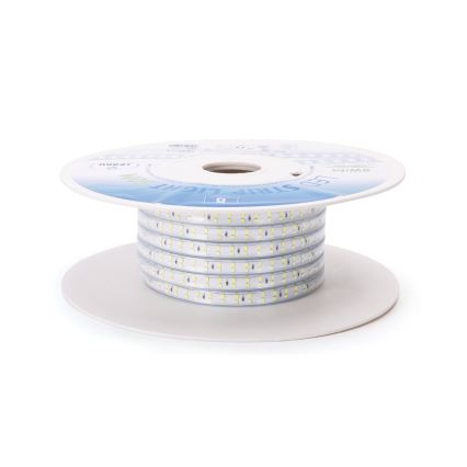 Aigostar - Ταινία LED LED/400W/230V 50m 6500K IP65