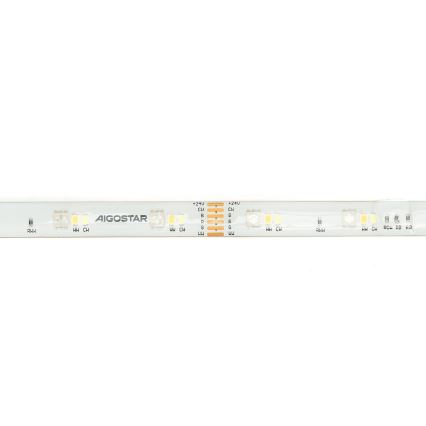 Aigostar - Ταινία LED RGBW Dimmable 5m MESH Smart LED/24W/230V 2700-6500K + τηλεχειριστήριο