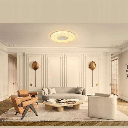 Aigostar - Φωτιστικό οροφής LED LED/12W/230V 3000K διάμετρος 26cm