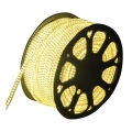 Aigostar - Φωτοταινία εξωτερικού χώρου LED 50m LED/350W/230V 3000K IP65