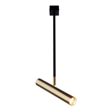 Amplex - Κρεμαστό φωτιστικό 1xGU10-MR11/15W/230V μαύρο/ορείχαλκος