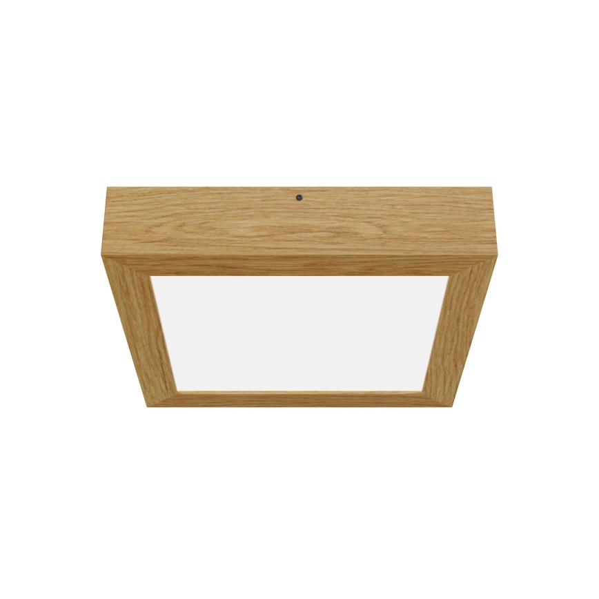 APLED - LED Φωτιστικό οροφής QUADRA LED/24W/230V δρυς