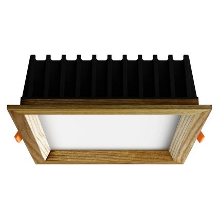 APLED - Χωνευτό φωτιστικό οροφής LED SQUARE WOODLINE LED/12W/230V 3000K 17x17 cm μασίφ ξύλο τέφρας