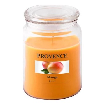Αρωματικό κερί MANGO 510g 85-95 ώρες.
