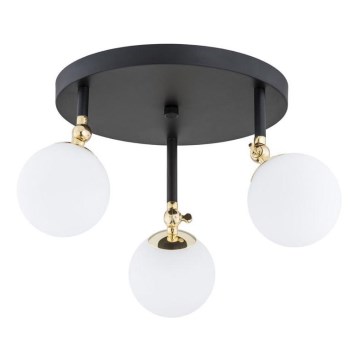 Argon 1436 - Πλαφονιέρα μπάνιου LATINA 3xE14/40W/230V IP44