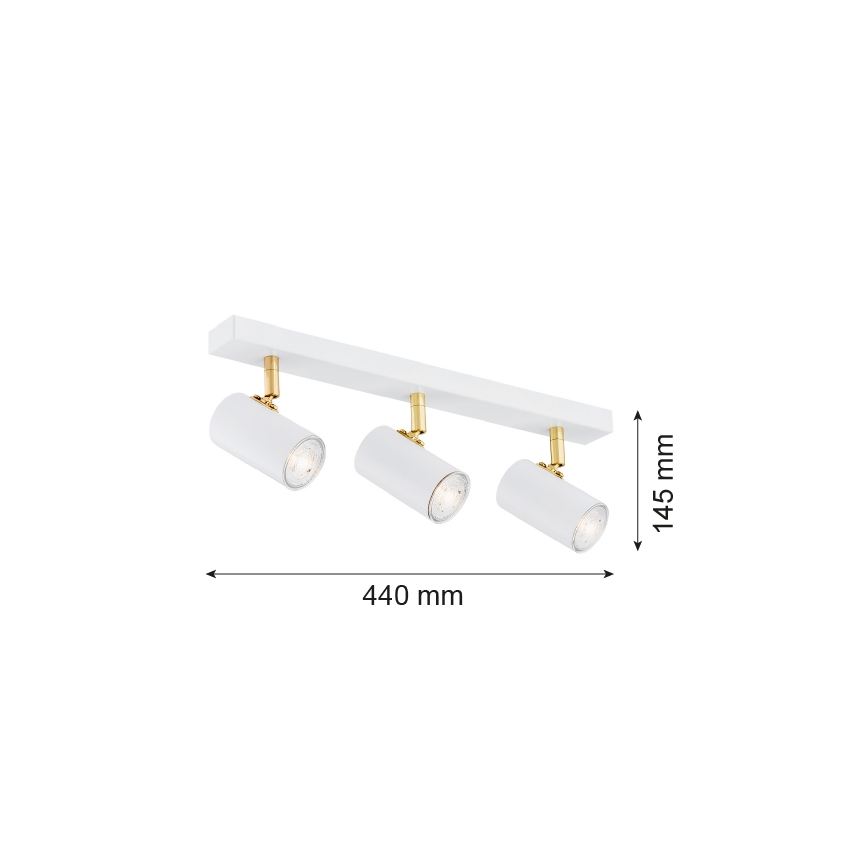 Argon 1475 - Φωτιστικό σποτ LAGOS 3xGU10/5W/230V λευκό/χρυσό