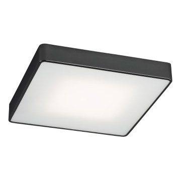 Argon 1577 - Φως οροφής ONTARIO 4xE27/15W/230V