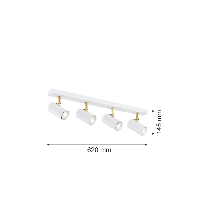 Argon 1689 - Φωτιστικό σποτ LAGOS 4xGU10/5W/230V λευκό/χρυσό
