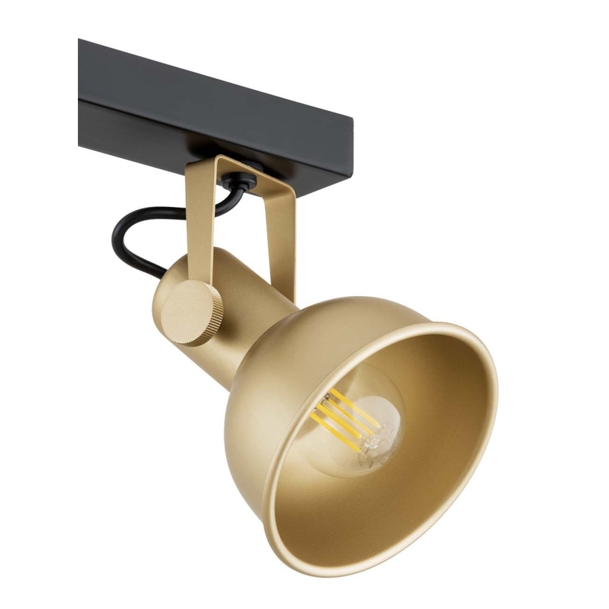 Argon 1801 - Φωτιστικό σποτ LENORA 4xE14/7W/230V χρυσαφί/μαύρο