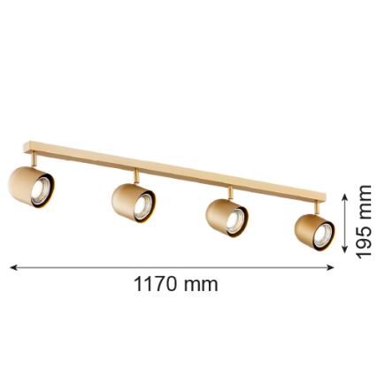 Argon 1810 - Φωτιστικό σποτ ISOLA 4xGU10/5W/230V