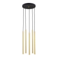 Argon 2109 - Φωτιστικό κρεμαστό LED SICILIA 5xLED/4,5W/230V
