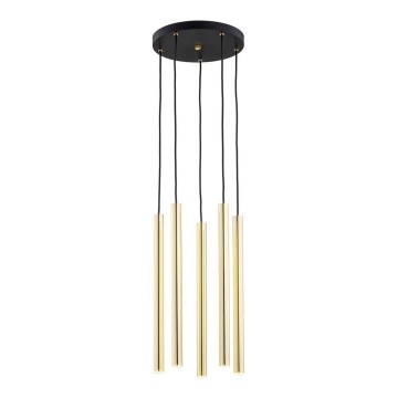 Argon 2109 - Φωτιστικό κρεμαστό LED SICILIA 5xLED/4,5W/230V