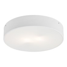 Argon 3567  - Φως οροφής LED DARLING LED/25W/230V